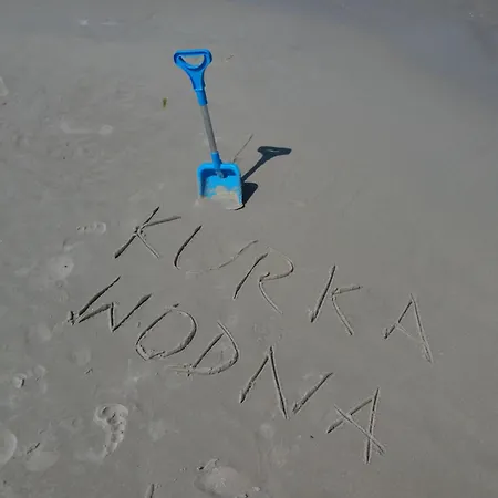 Kurka Wodna * Dębki