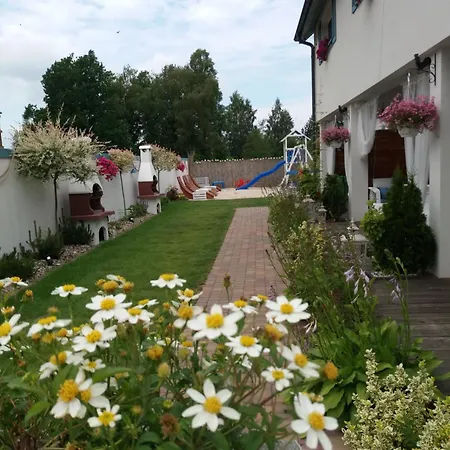 Kurka Wodna Apartamento Dębki