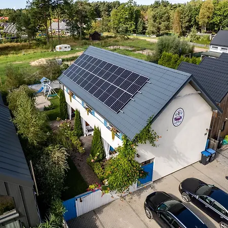 Kurka Wodna * Dębki