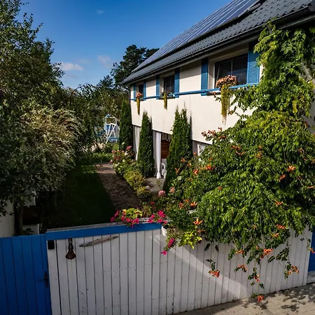 Kurka Wodna * Dębki