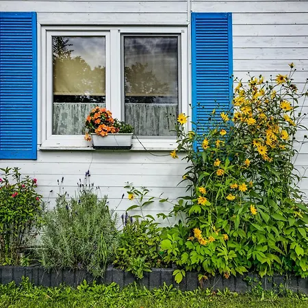 Kurka Wodna * Dębki