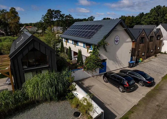 Daire Kurka Wodna Dębki