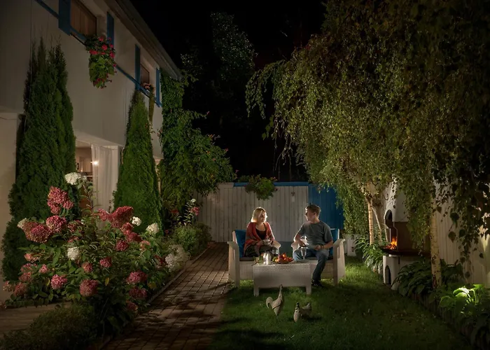 Kurka Wodna Daire Dębki