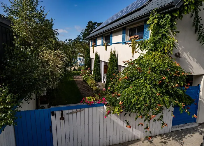 Kurka Wodna * Dębki