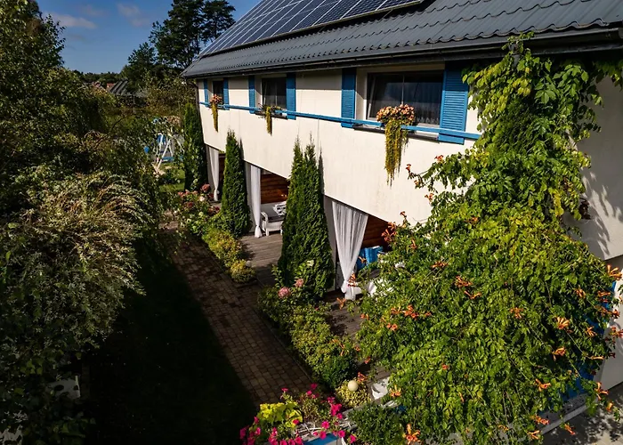 Daire Kurka Wodna Dębki