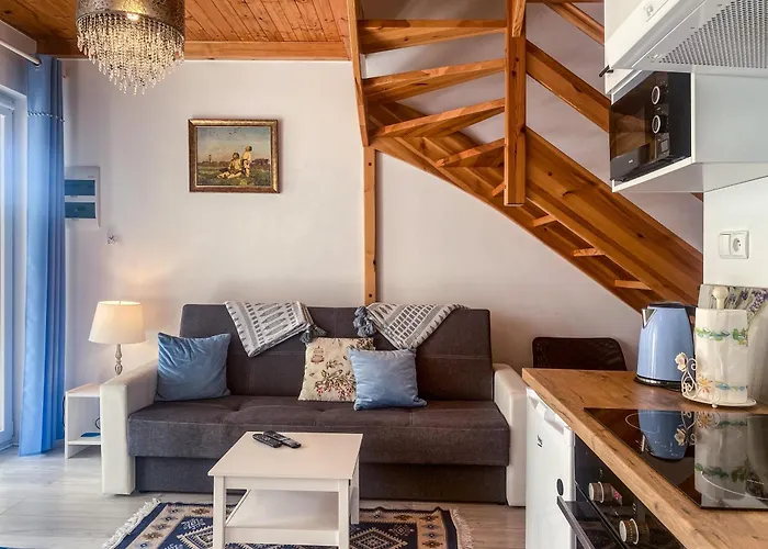 Kurka Wodna Daire Dębki