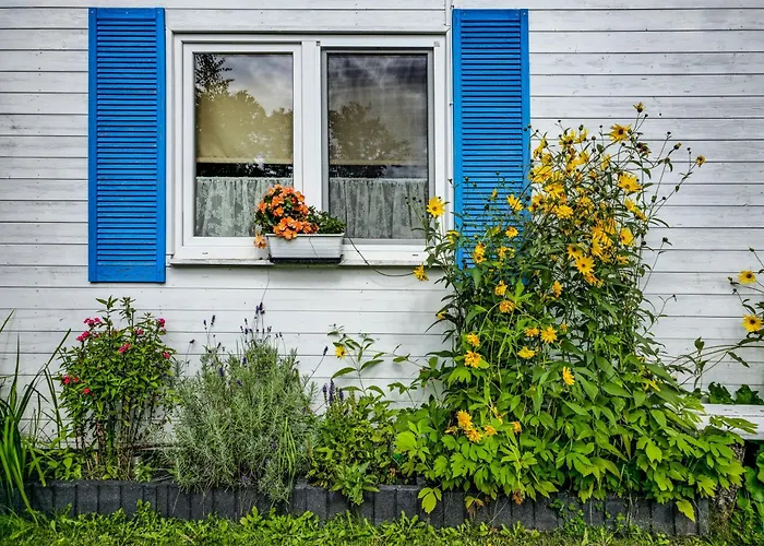 Kurka Wodna * Dębki