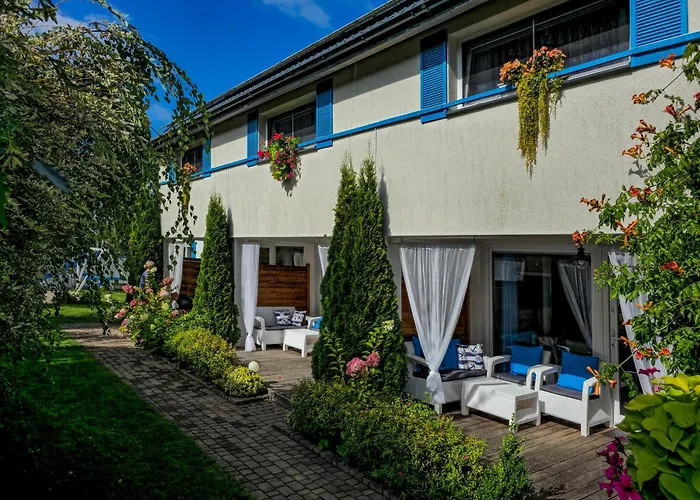 Kurka Wodna Daire Dębki