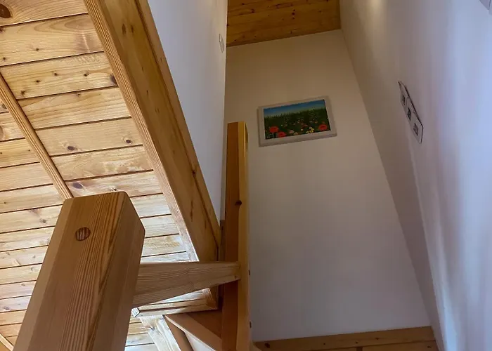 Daire Kurka Wodna Dębki