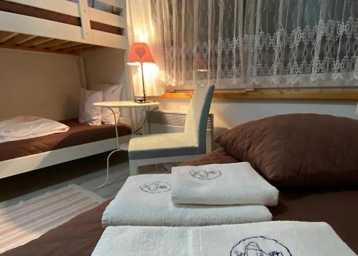 Daire Kurka Wodna Dębki